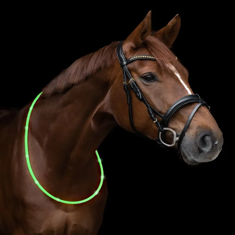 Collier d'encolure cheval luminescent Waldhausen - Equestra