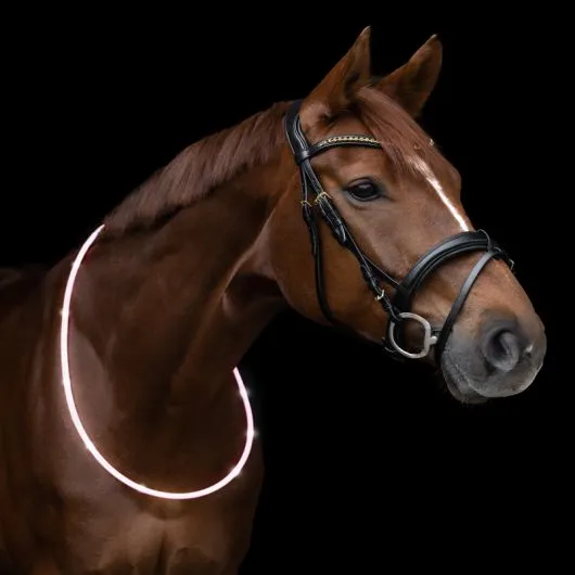 Collier d'encolure cheval luminescent Waldhausen - Equestra