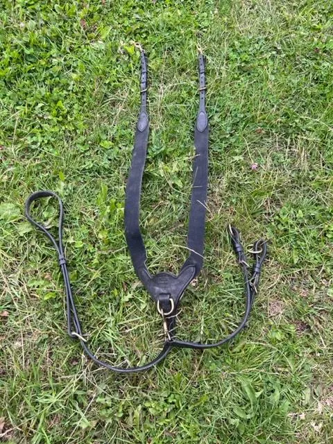 Collier de chasse avec martingale CWD