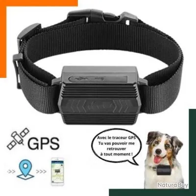 Collier GPS pour chien  IP66 GSM  - Noir - Livraison rapide - Garantie 2 ans