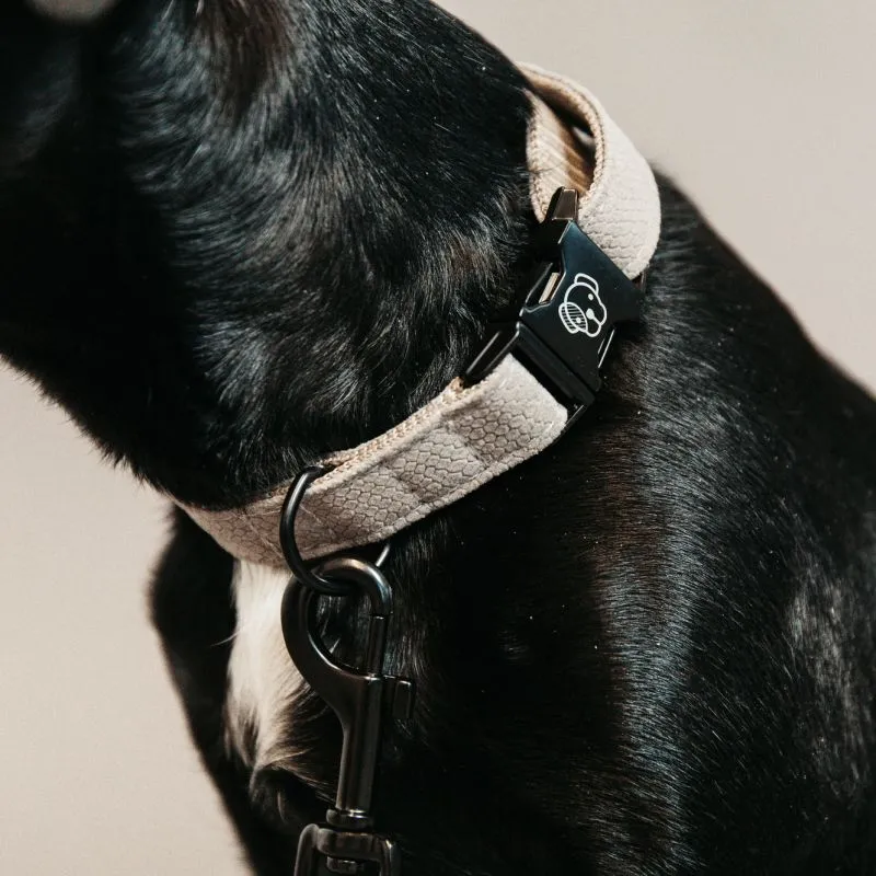 Collier pour chien Lézard Kentucky - Equestra