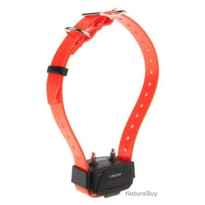 Collier seul d'éducation pour kit Canicom orange fluo